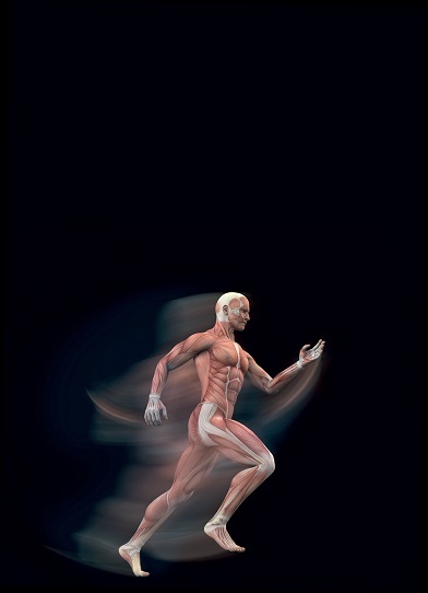 Master Master of Science (Continuing Education), Sportmedizin, MSc (CE) - Das Studium