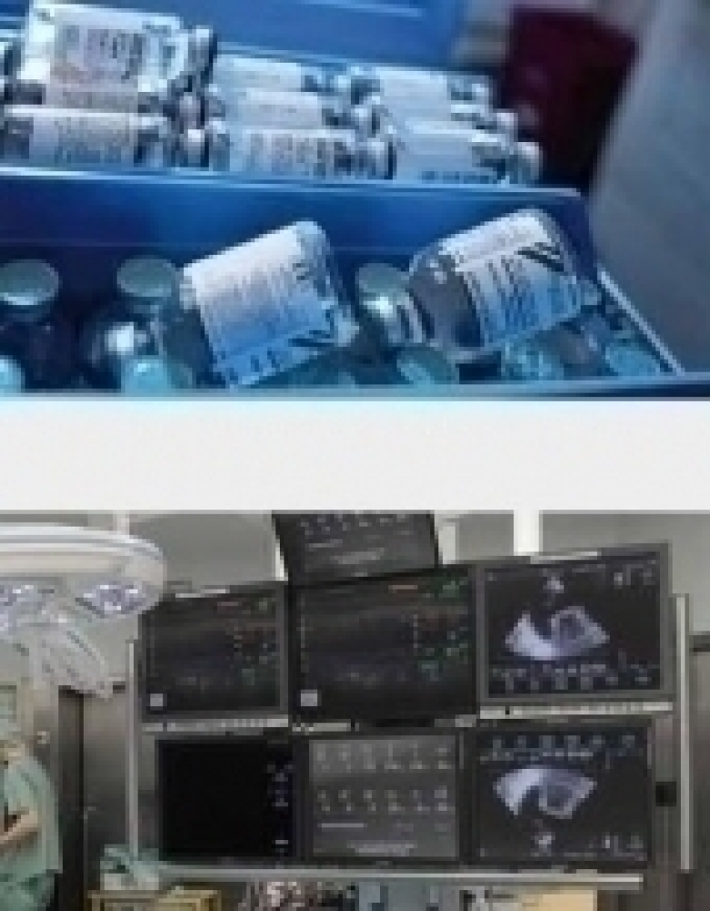 Master Master of Science (M.Sc.), Clinical Trial Management - Schwerpunkte / Curriculum