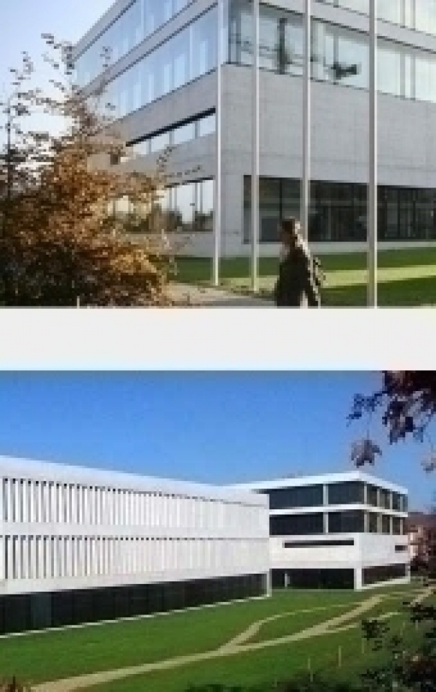 Master Master of Arts (M.A.), Masterstudiengang Fr&uuml;he Kindheit - Der Anbieter