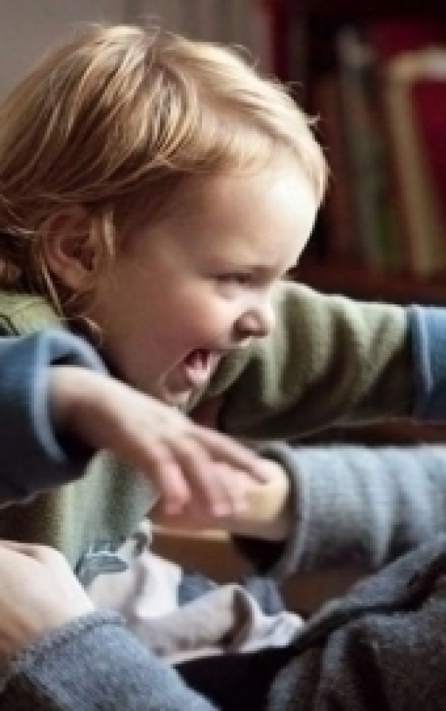 Master Master of Arts (M.A.), Masterstudiengang Fr&uuml;he Kindheit - Das Studium