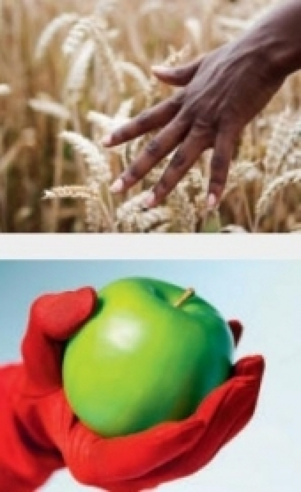 Master Master of Advanced Studies (MAS), MAS in Excellence in Food - Schwerpunkte / Curriculum